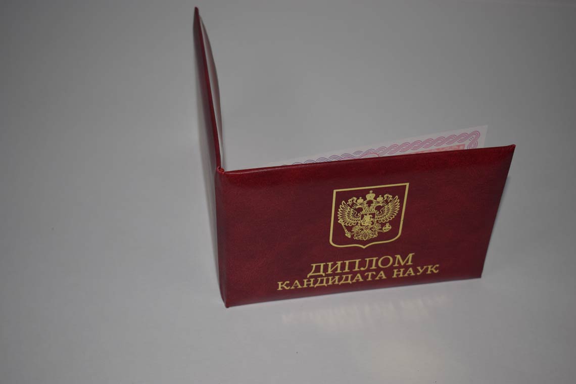 Диплом Кандидата Наук 2013-2016 в Подольске корка