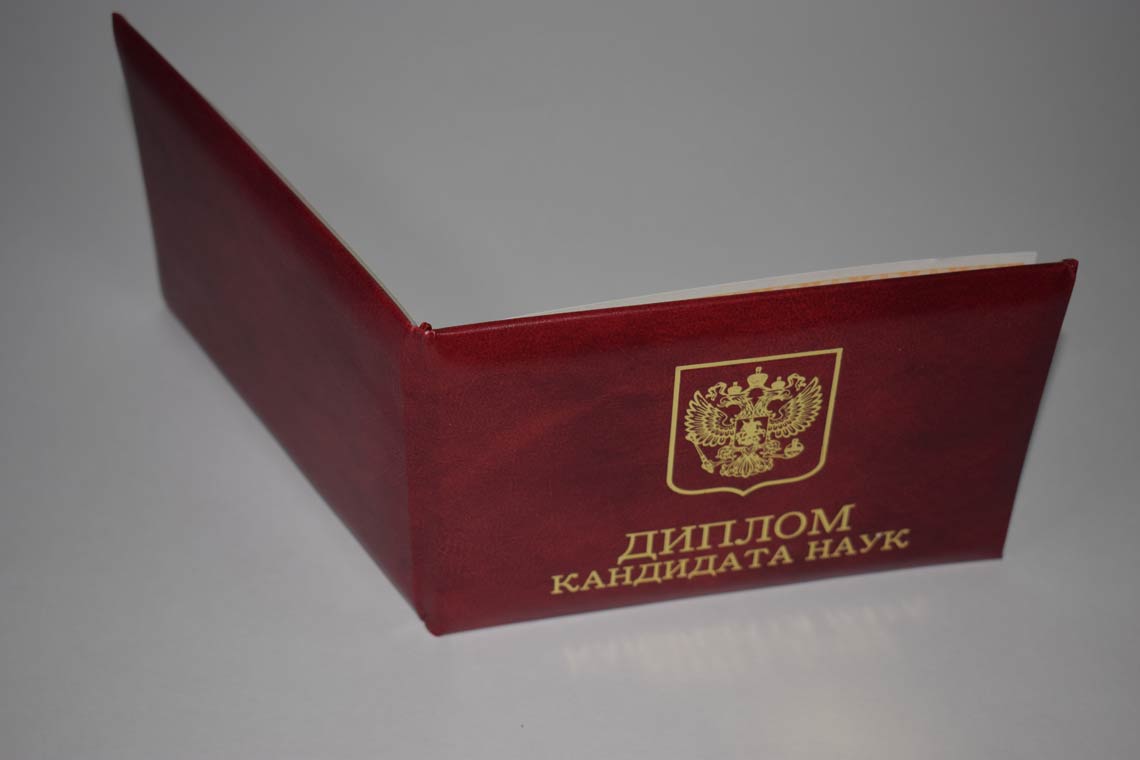 Диплом Кандидата Наук 2017-2025 в Подольске корка